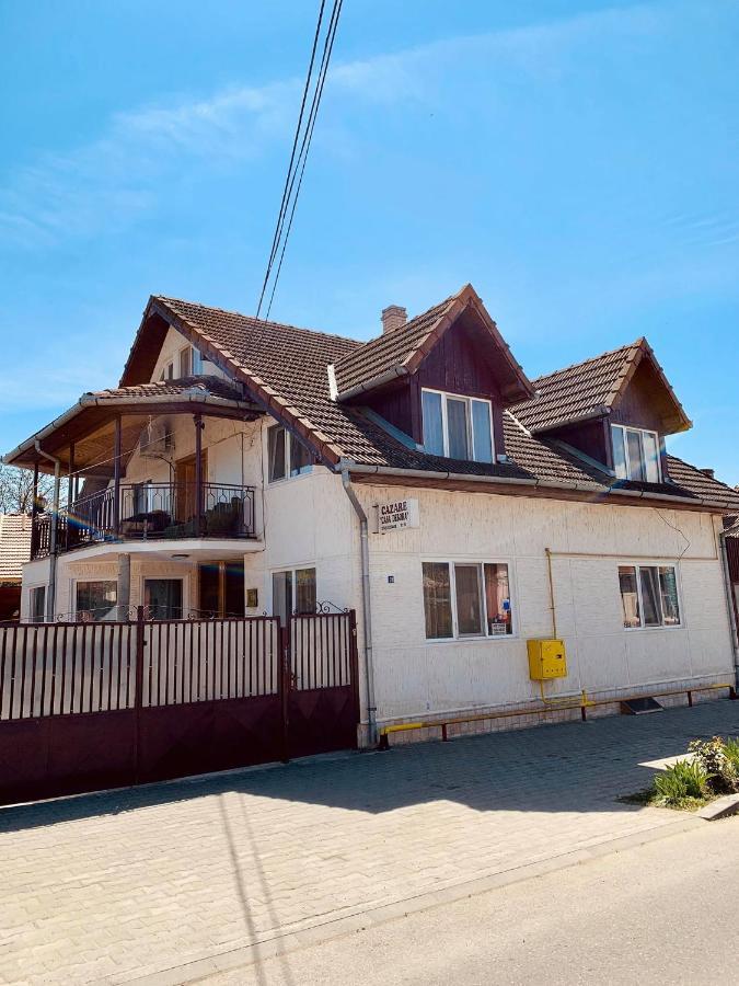 Casa Debora 호텔 Haţeg 외부 사진