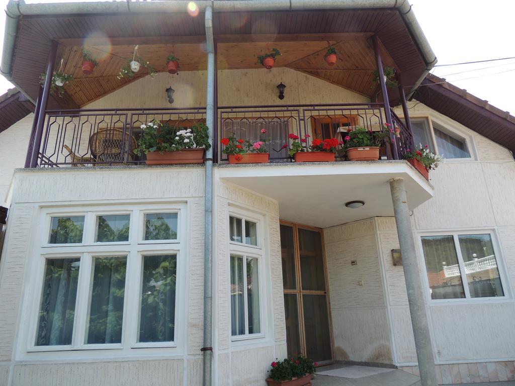 Casa Debora 호텔 Haţeg 외부 사진